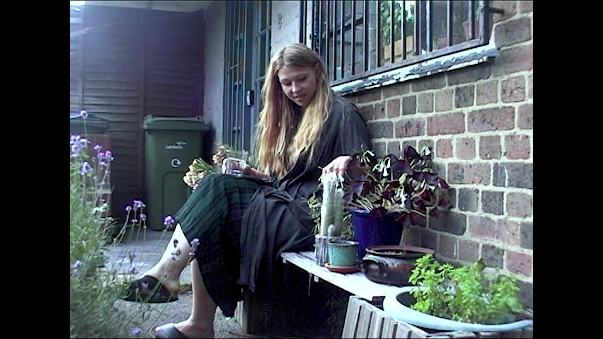 The Plant Collector|The Plant Collector