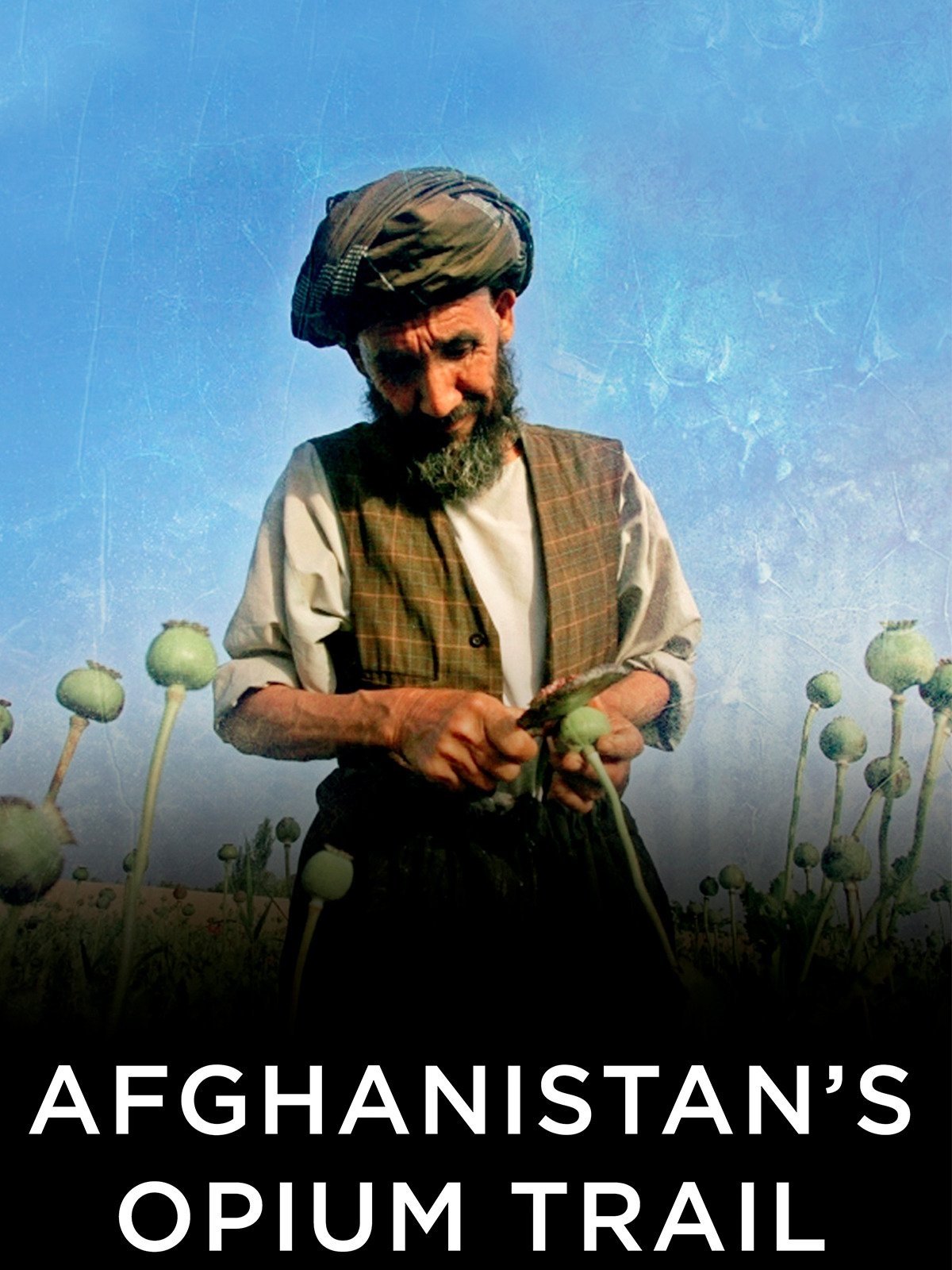 Afghanistan's Opium Trail | Afghanistan's Opium Trail