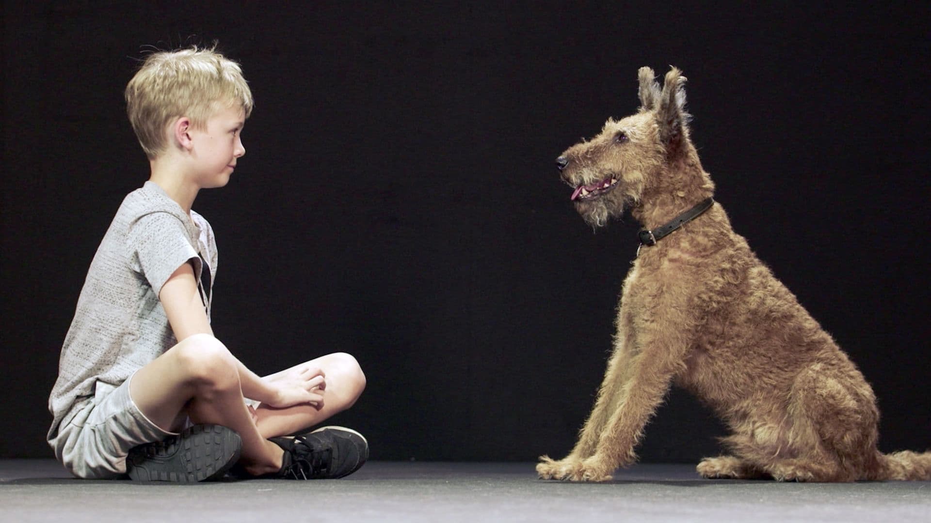 Hund und Mensch: Das Geheimnis einer Freundschaft|Hund und Mensch: Das Geheimnis einer Freundschaft