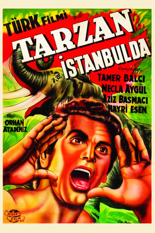 Tarzan İstanbul'da | Tarzan İstanbul'da