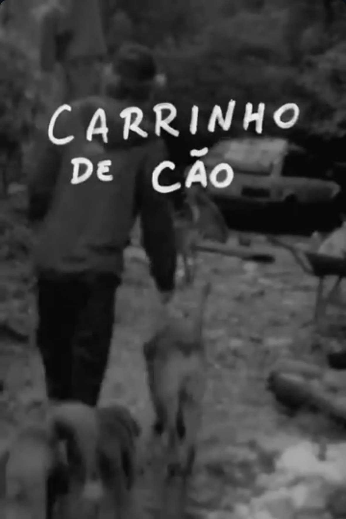 Carrinho de Cão | Carrinho de Cão