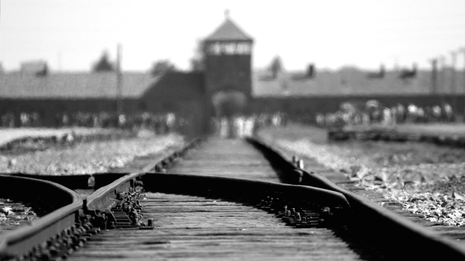 تصویر 0