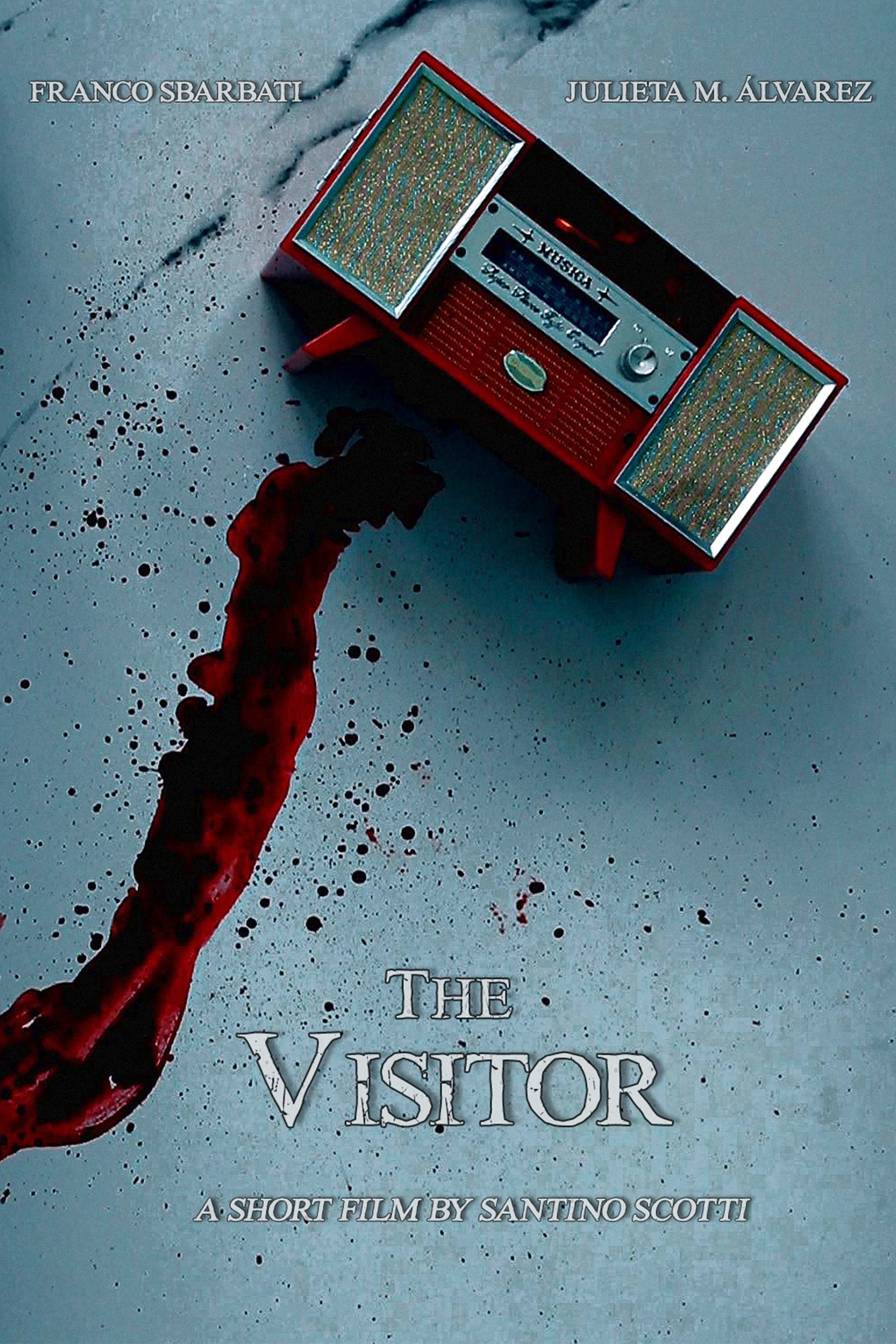 The Visitor | The Visitor