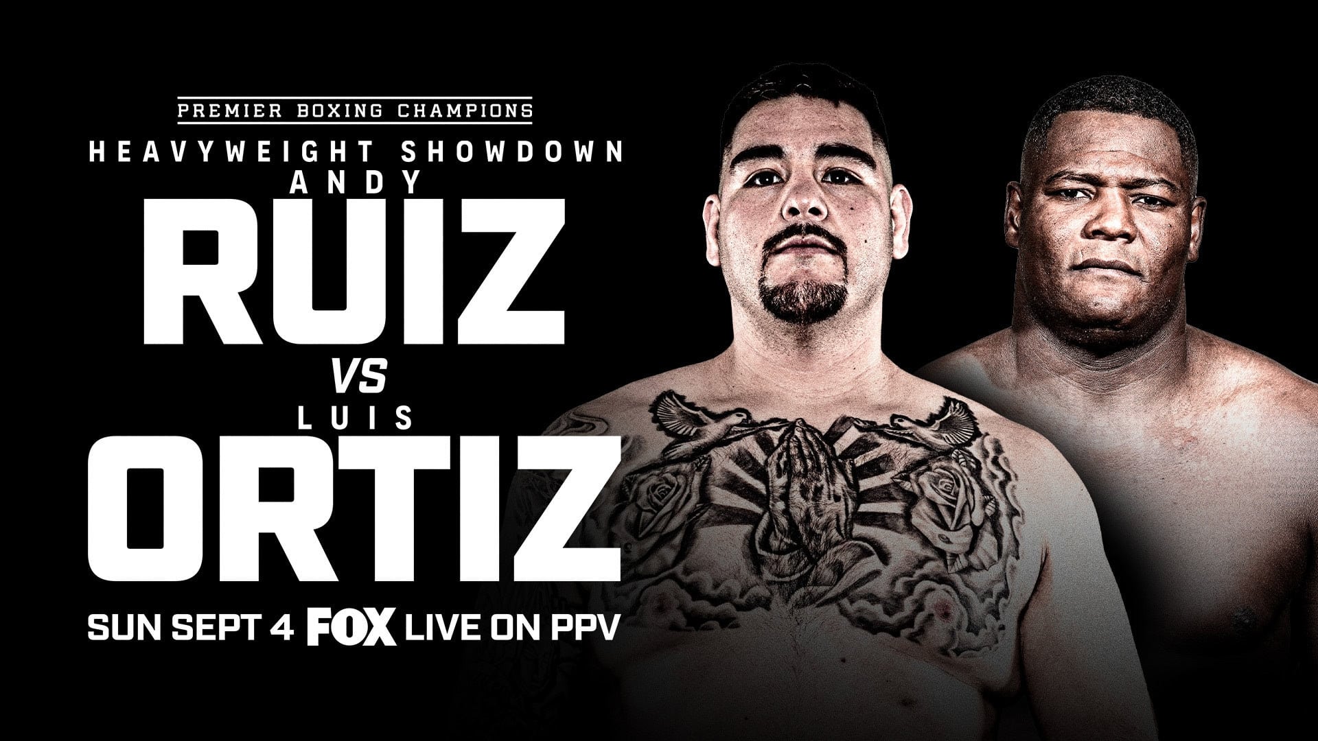 Andy Ruiz Jr. vs. Luis Ortiz|Andy Ruiz Jr. vs. Luis Ortiz