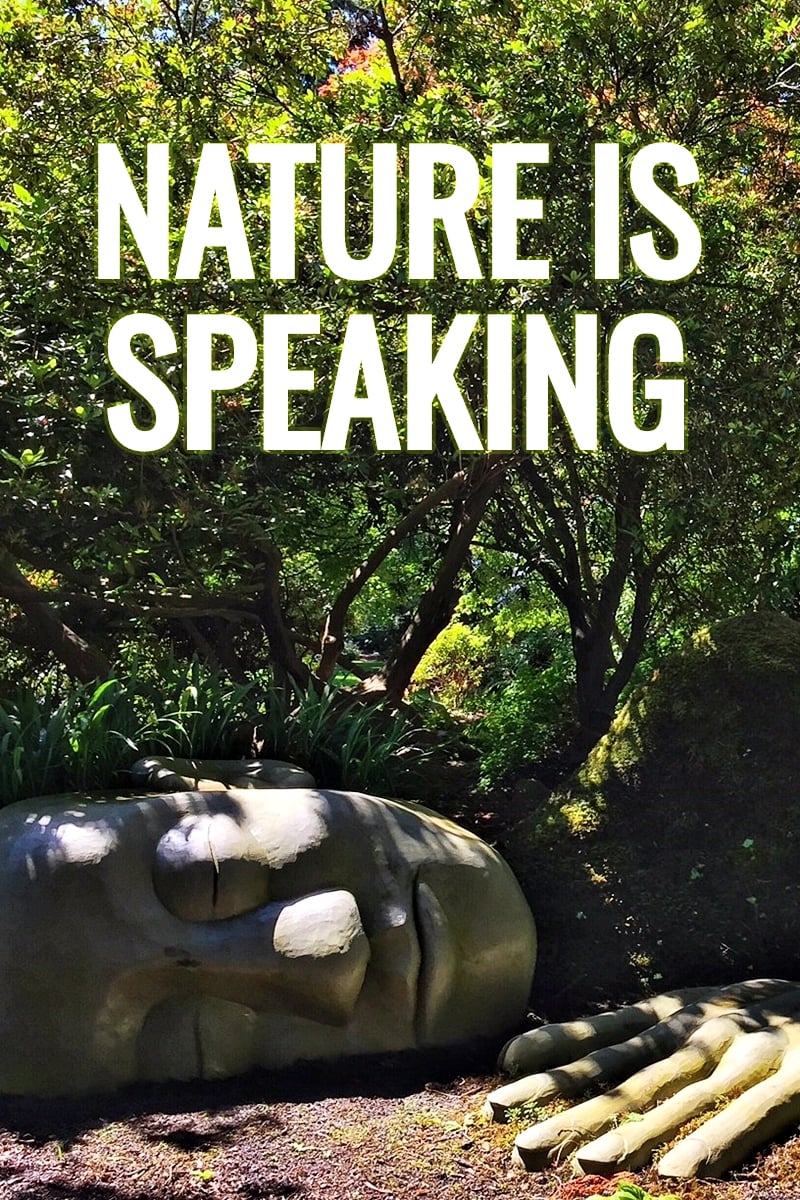 Nature Is Speaking | Nature Is Speaking