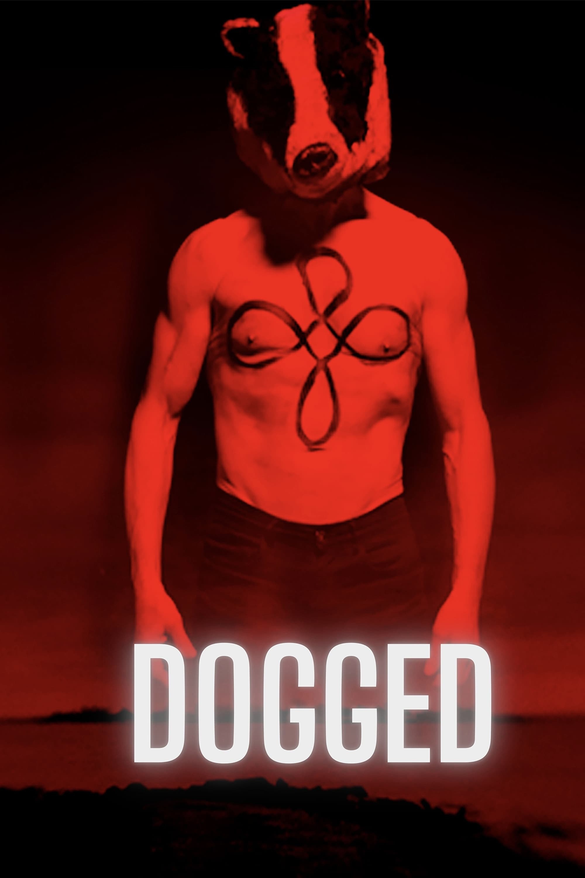 Dogged | Dogged