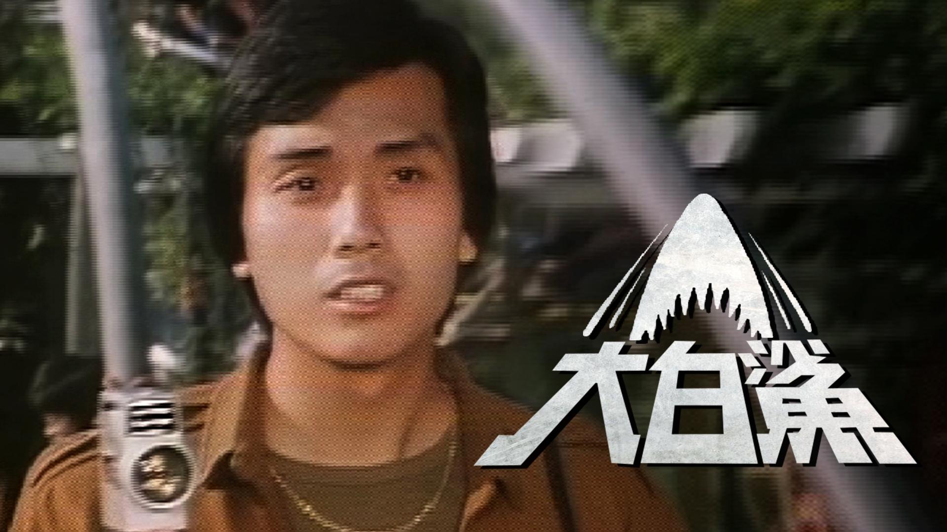 大白鯊|大白鯊