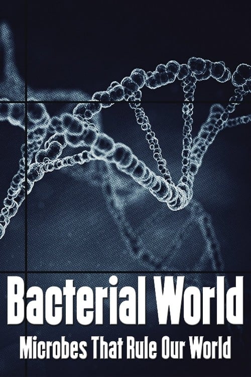 Bacterial World | Bacterial World