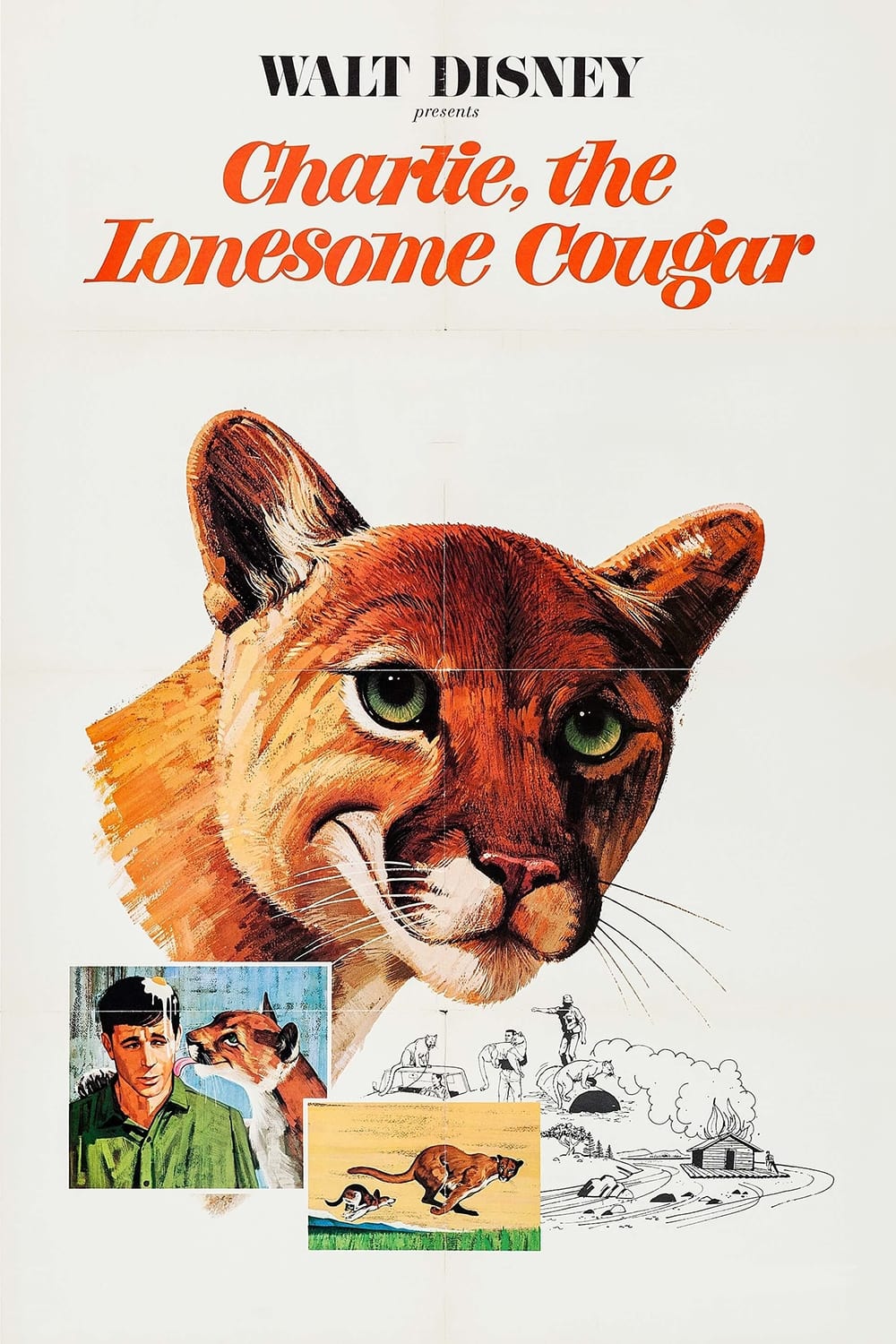 Charlie, the Lonesome Cougar | Charlie, the Lonesome Cougar