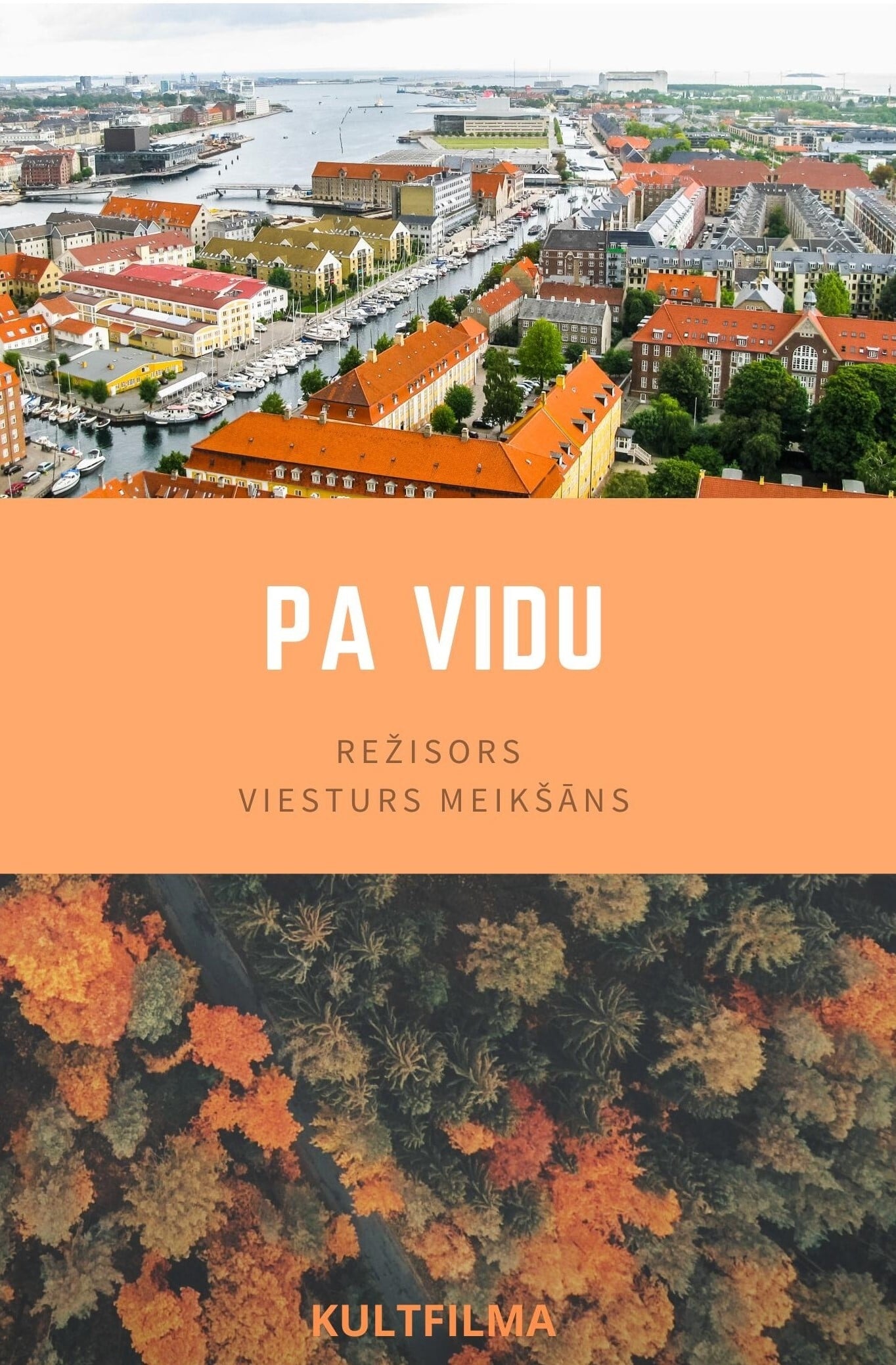 Pa vidu