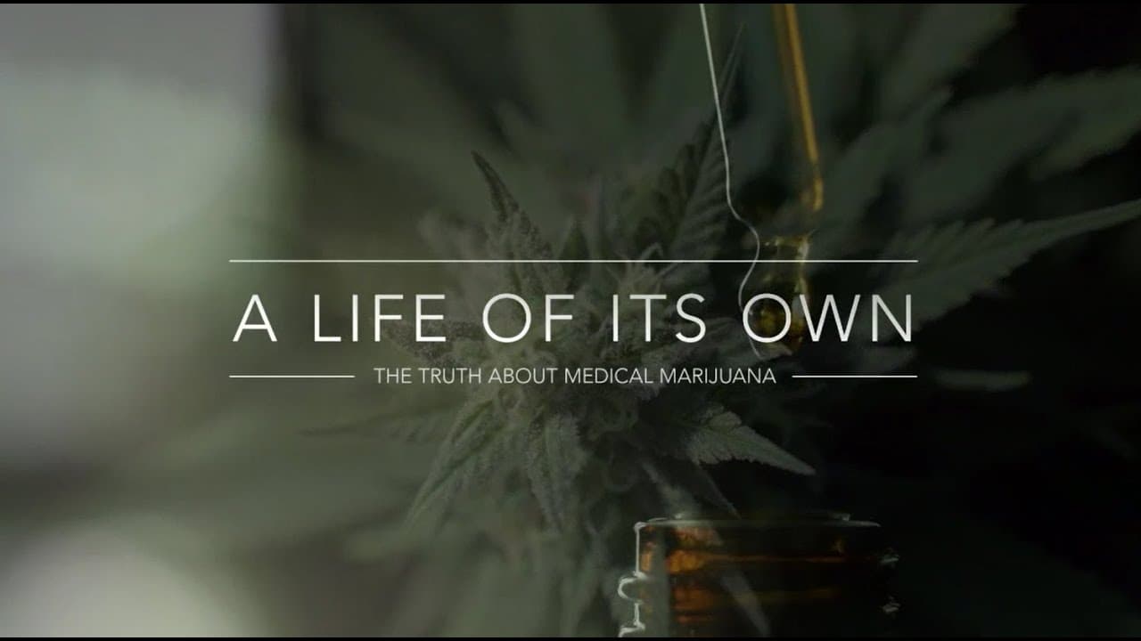 A Life of Its Own: The Truth About Medical Marijuana|A Life of Its Own: The Truth About Medical Marijuana