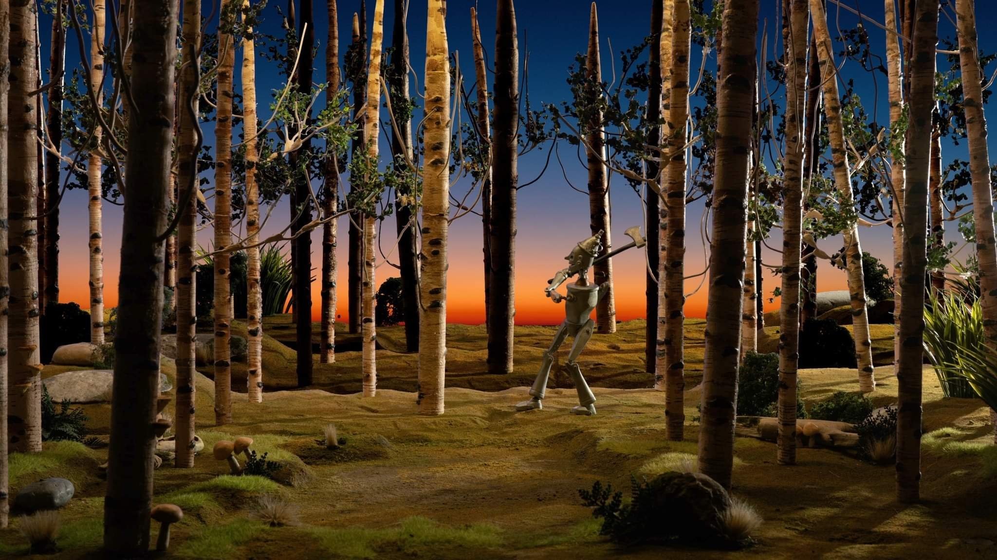 The Tin Woods|The Tin Woods
