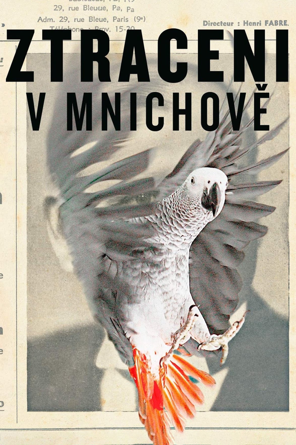 Ztraceni v Mnichově | Ztraceni v Mnichově