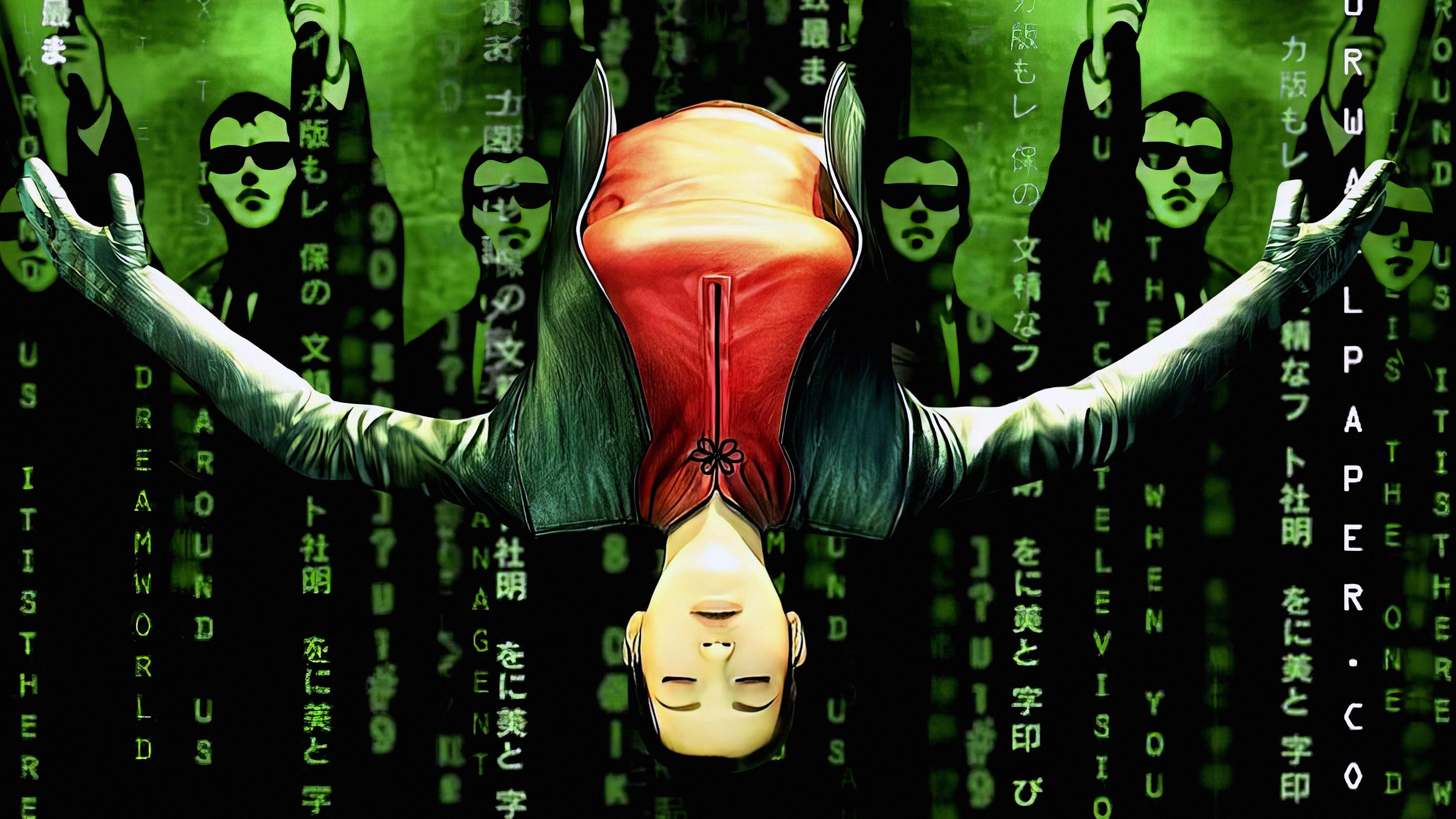 انیماتریکس|The Animatrix