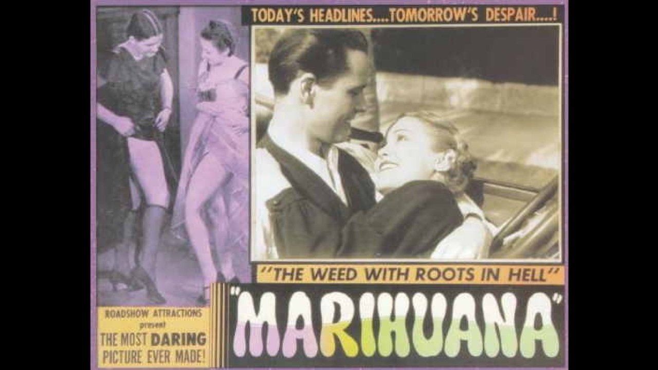 Marihuana El Monstruo Verde|Marihuana El Monstruo Verde
