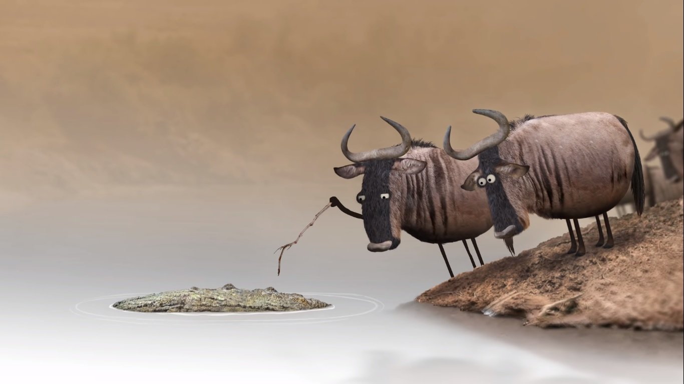 Wildebeest|Wildebeest
