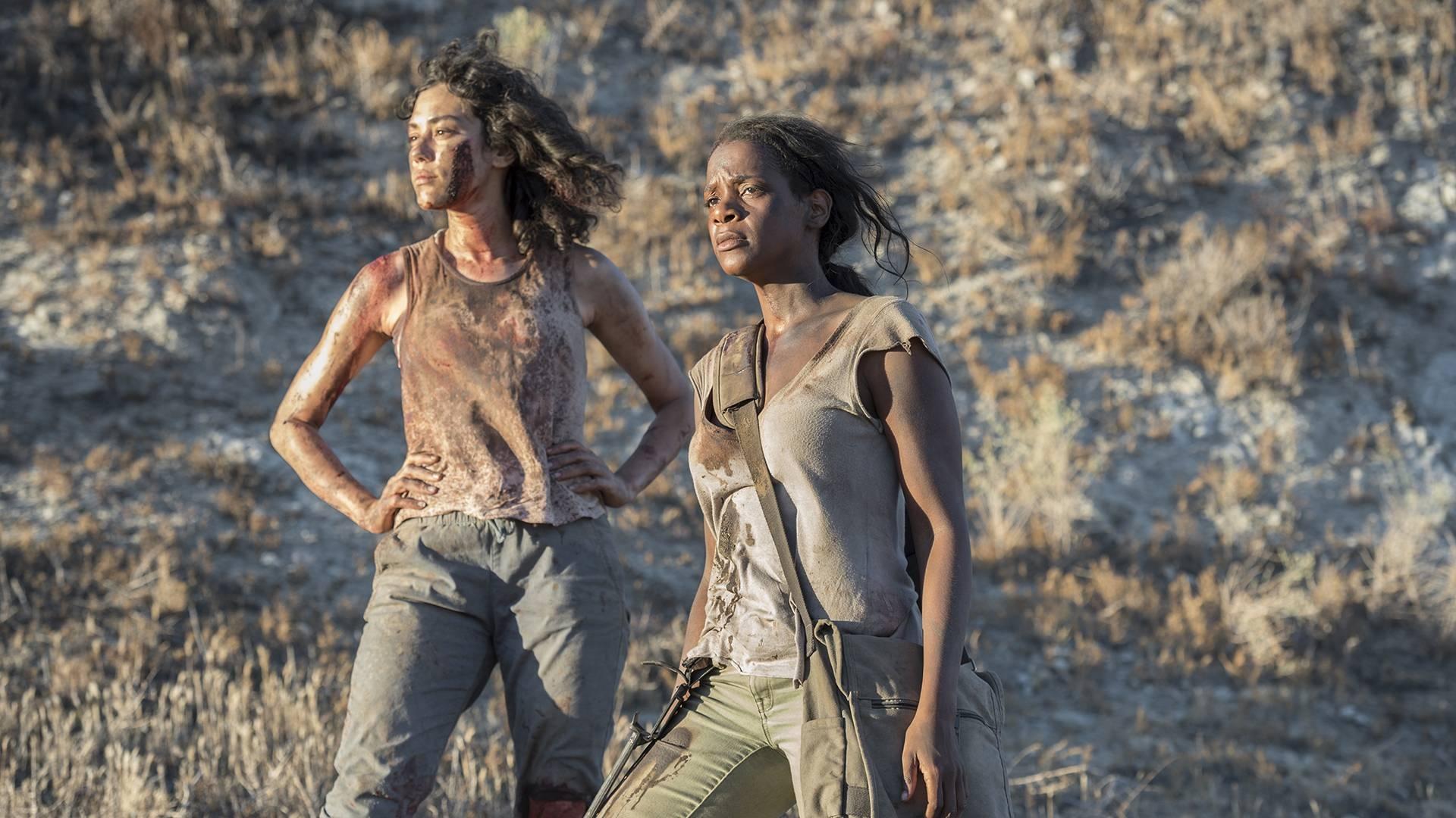 Fear the Walking Dead: Passage|Fear the Walking Dead: Passage