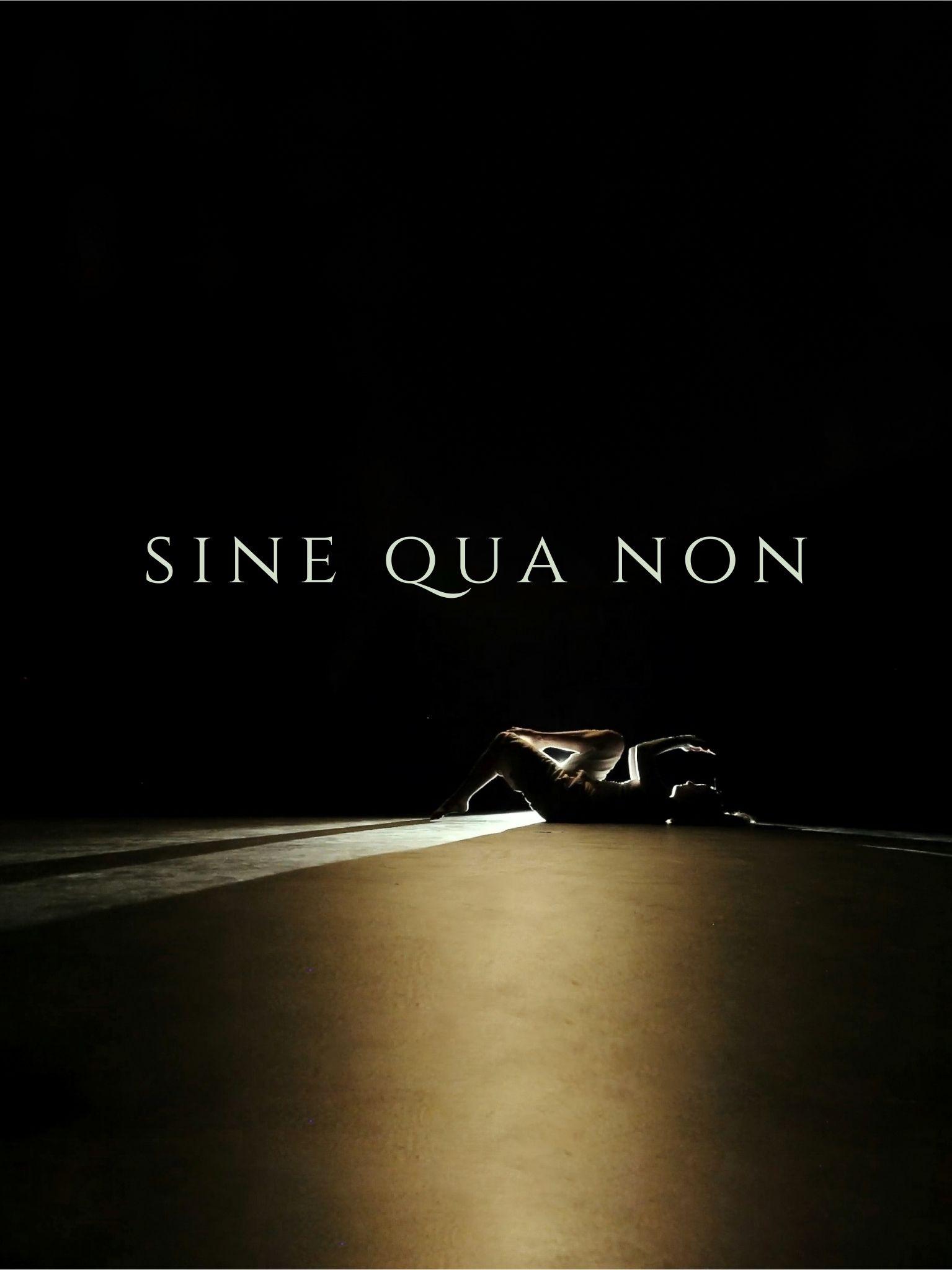 Sine Qua Non | Sine Qua Non