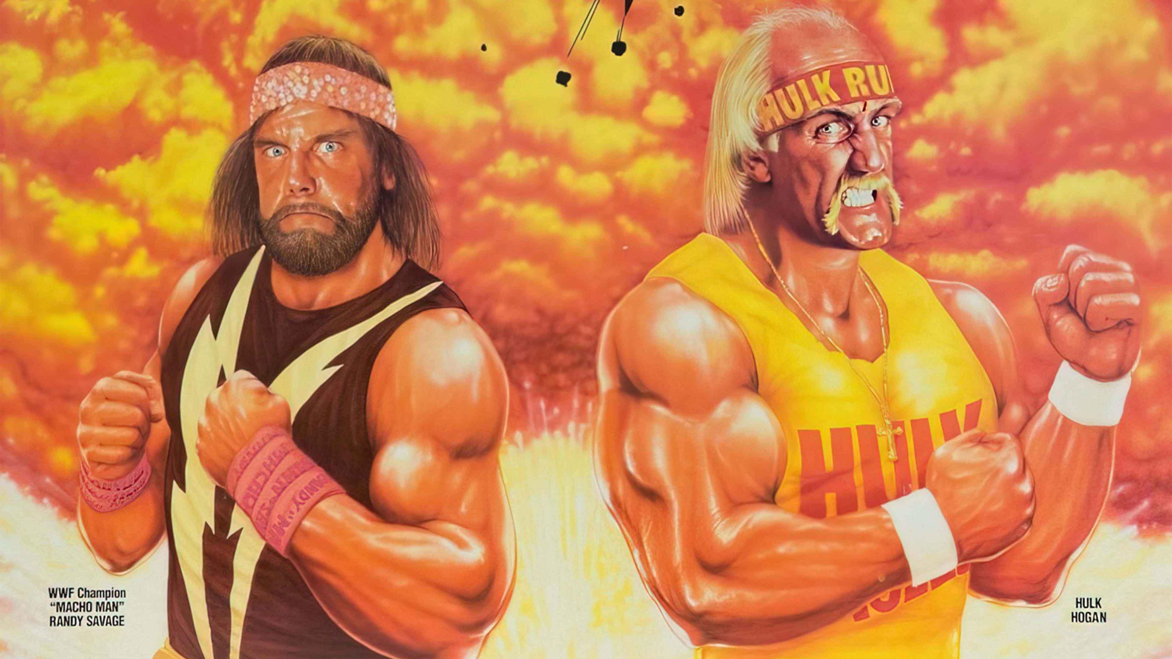 WWE WrestleMania V|WWE WrestleMania V