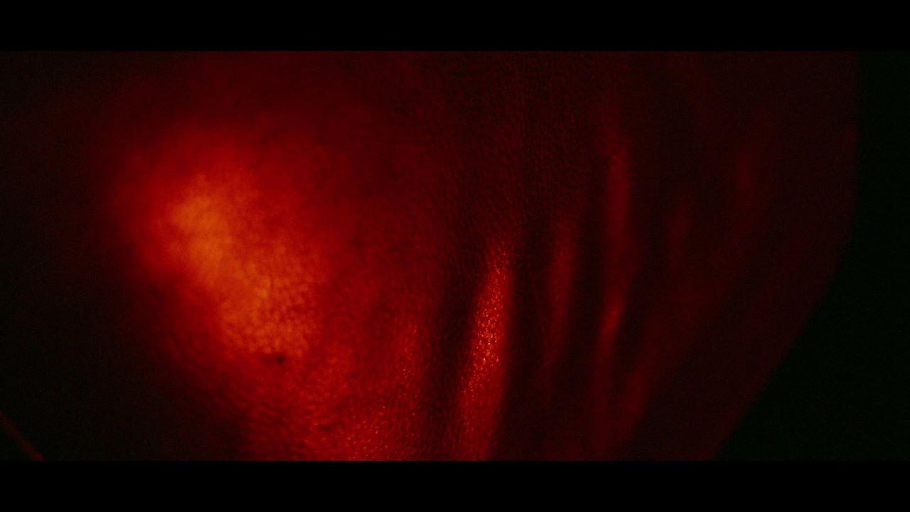 Flesh, Board, and Nails|Flesh, Board, and Nails