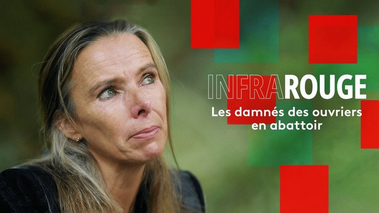 Les damnés des ouvriers en abattoir|Les damnés des ouvriers en abattoir