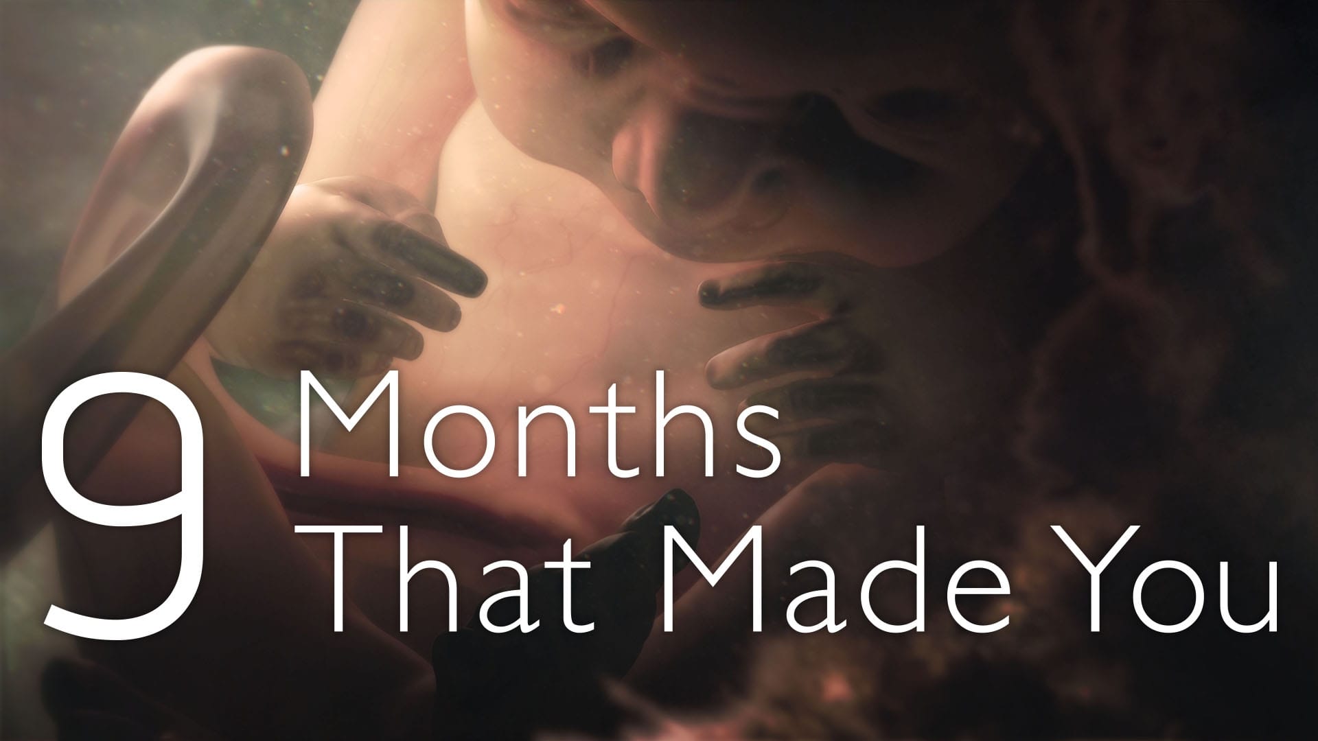 9 Months That Made You|9 Months That Made You