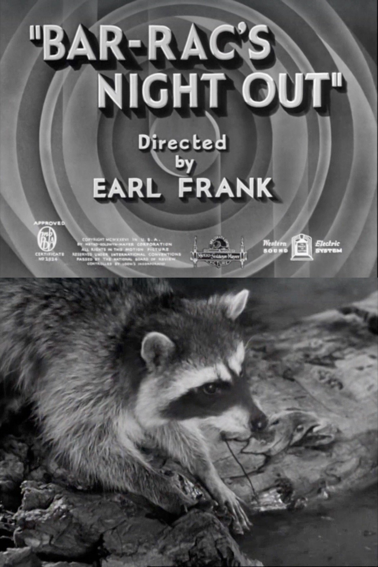 Bar-Rac's Night Out