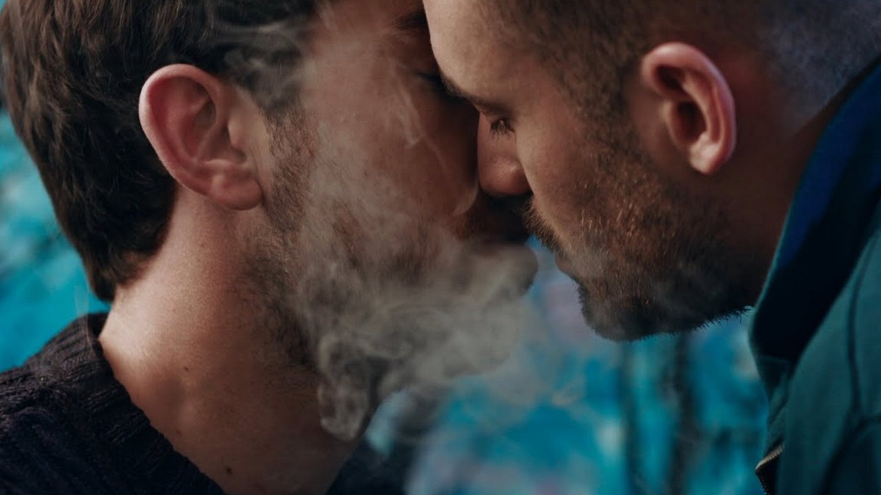 Fauve|Fauve
