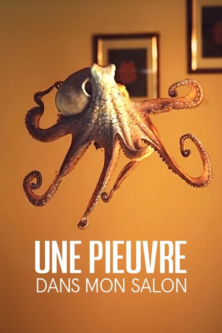 The Octopus in My House | The Octopus in My House