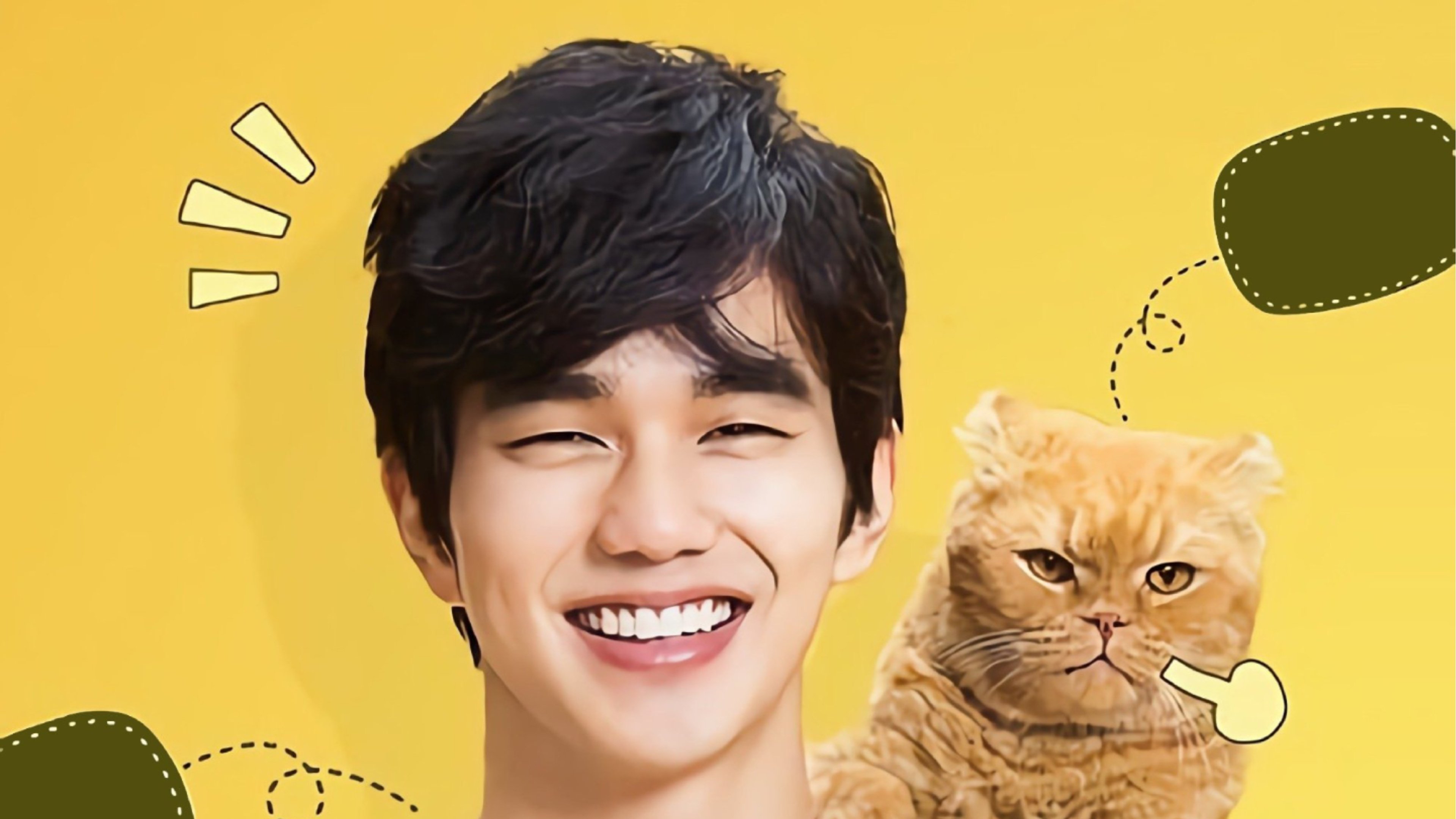 상상고양이|상상고양이