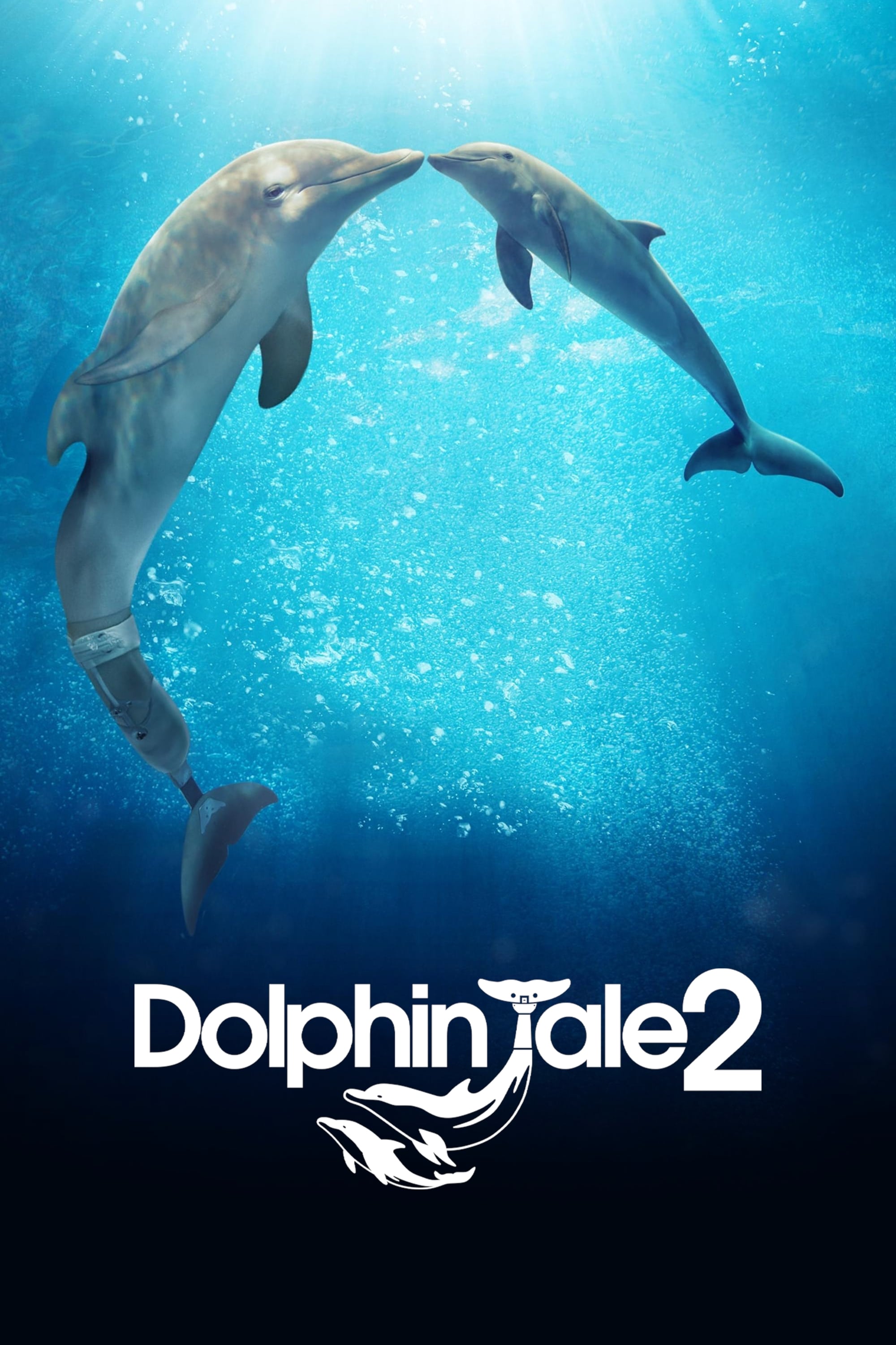 Dolphin Tale 2 | Dolphin Tale 2