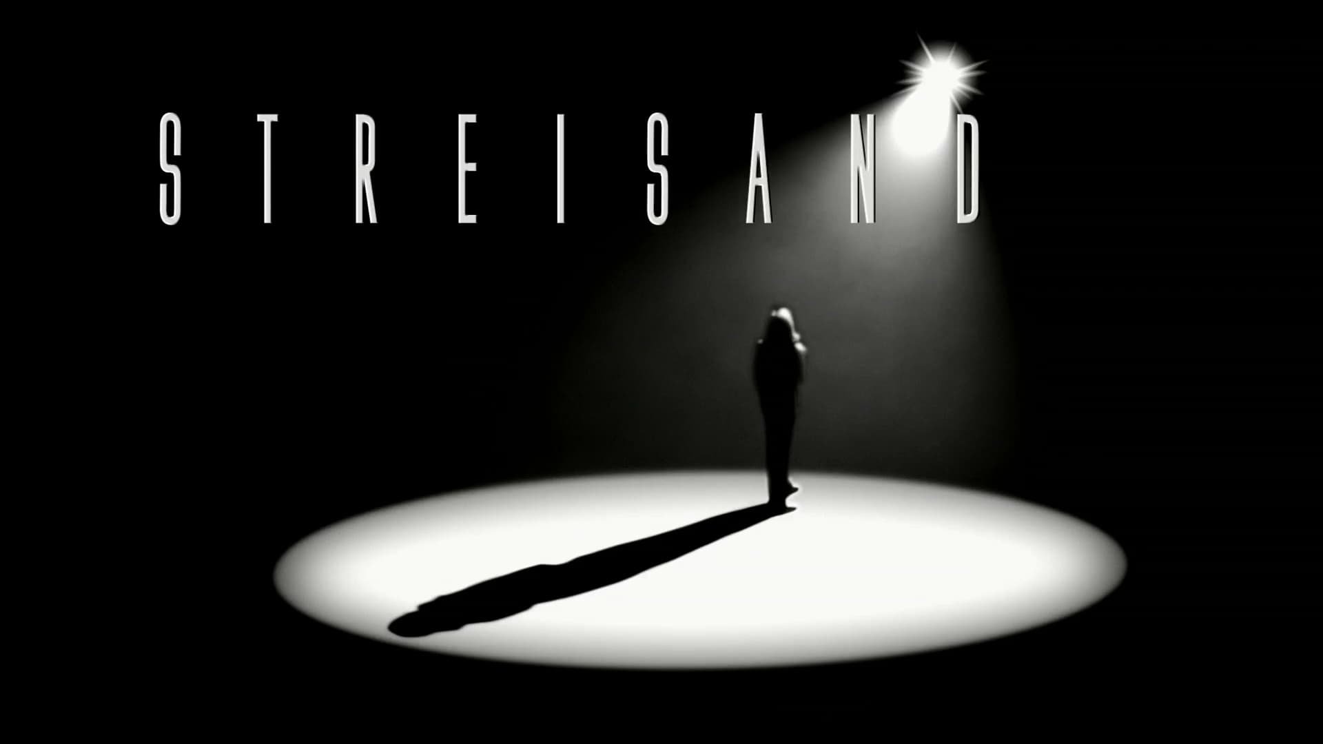 Streisand: Live in Concert 2006|Streisand: Live in Concert 2006