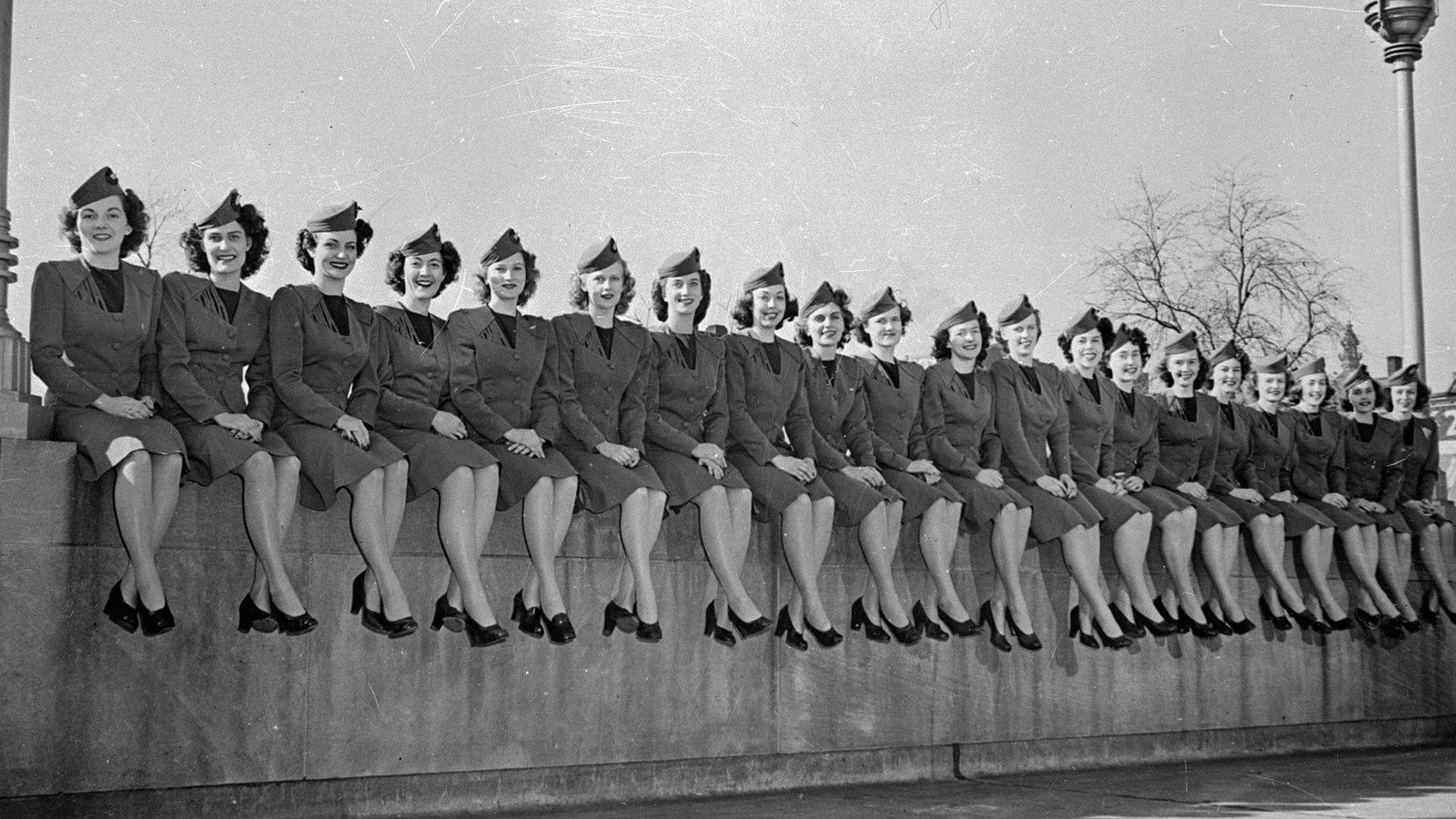 Flying Stewardess|Flying Stewardess