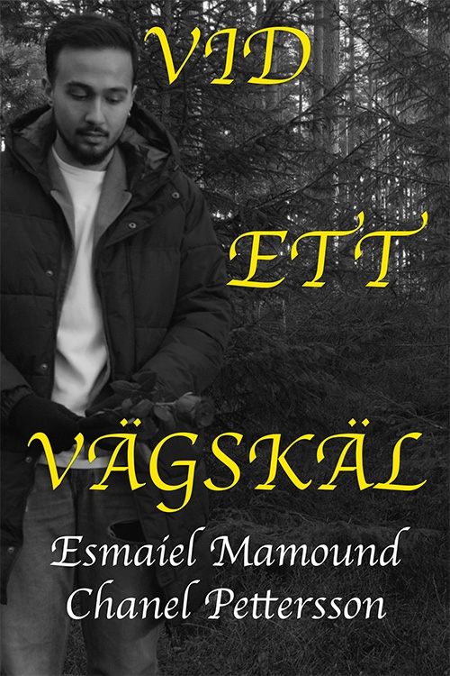 Vid ett vägskäl | Vid ett vägskäl