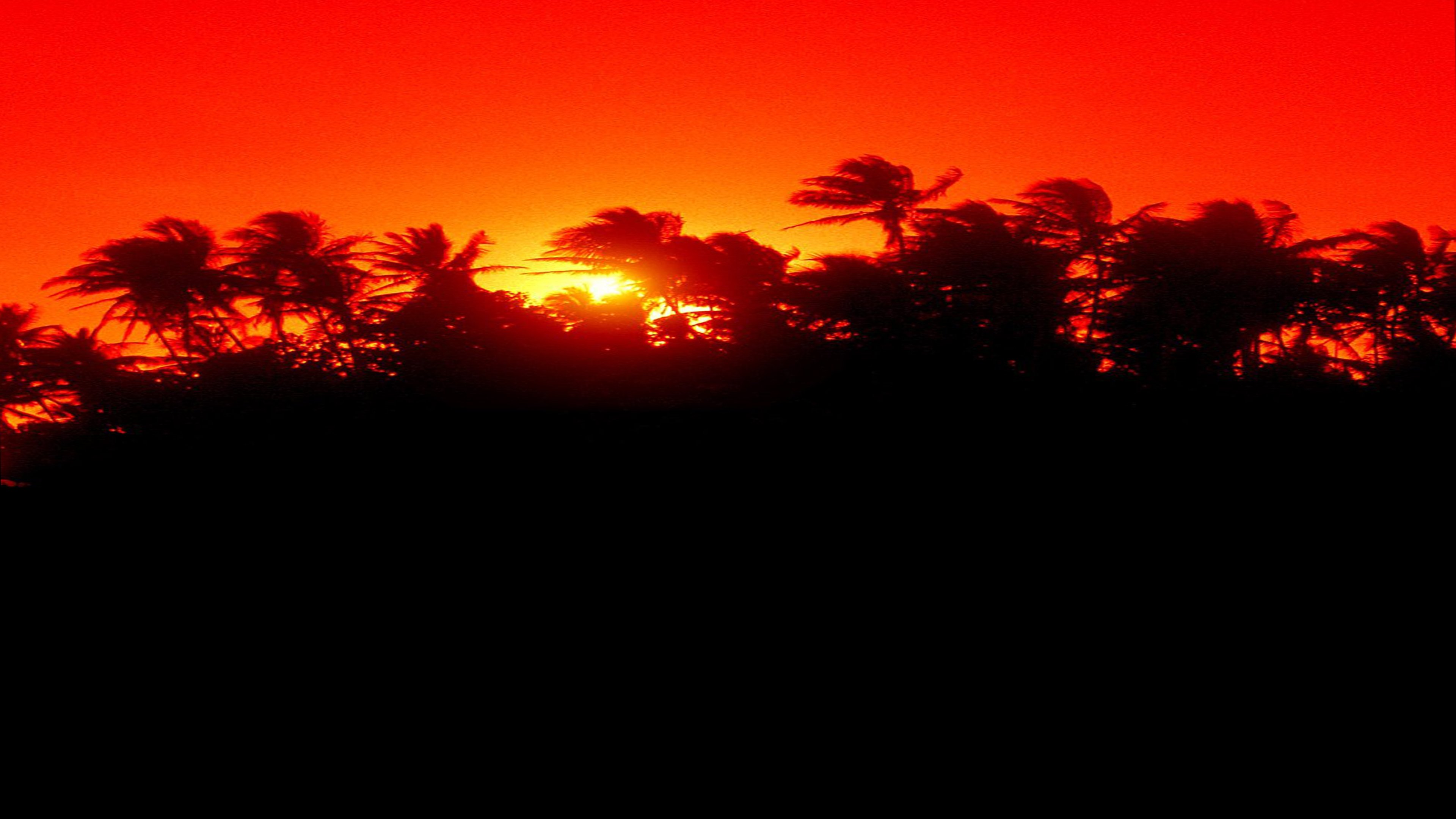The Making of 'Jurassic Park'|The Making of 'Jurassic Park'