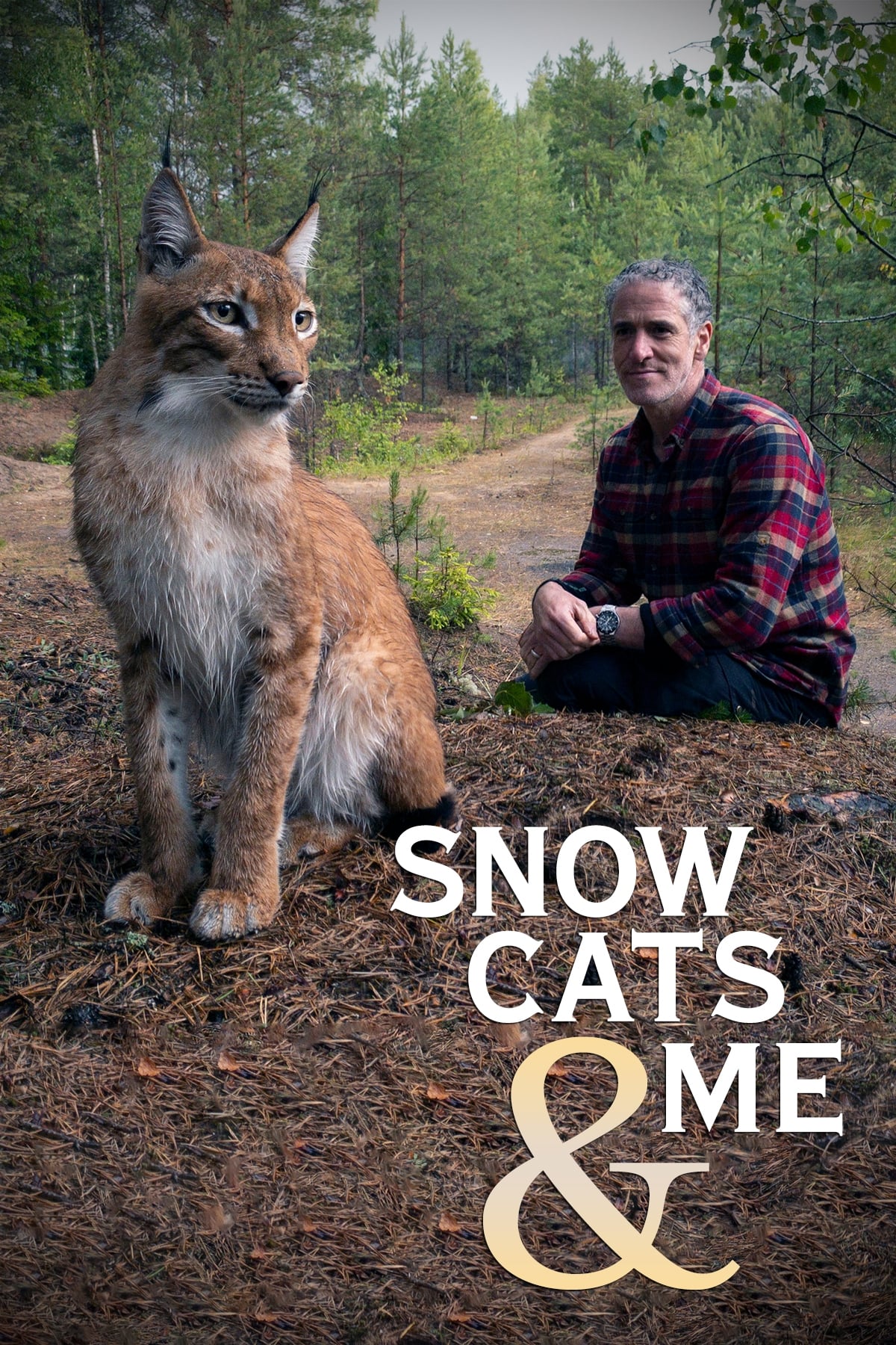 Snow Cats and Me | Snow Cats and Me