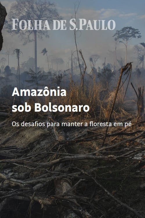 Amazônia sob Bolsonaro | Amazônia sob Bolsonaro