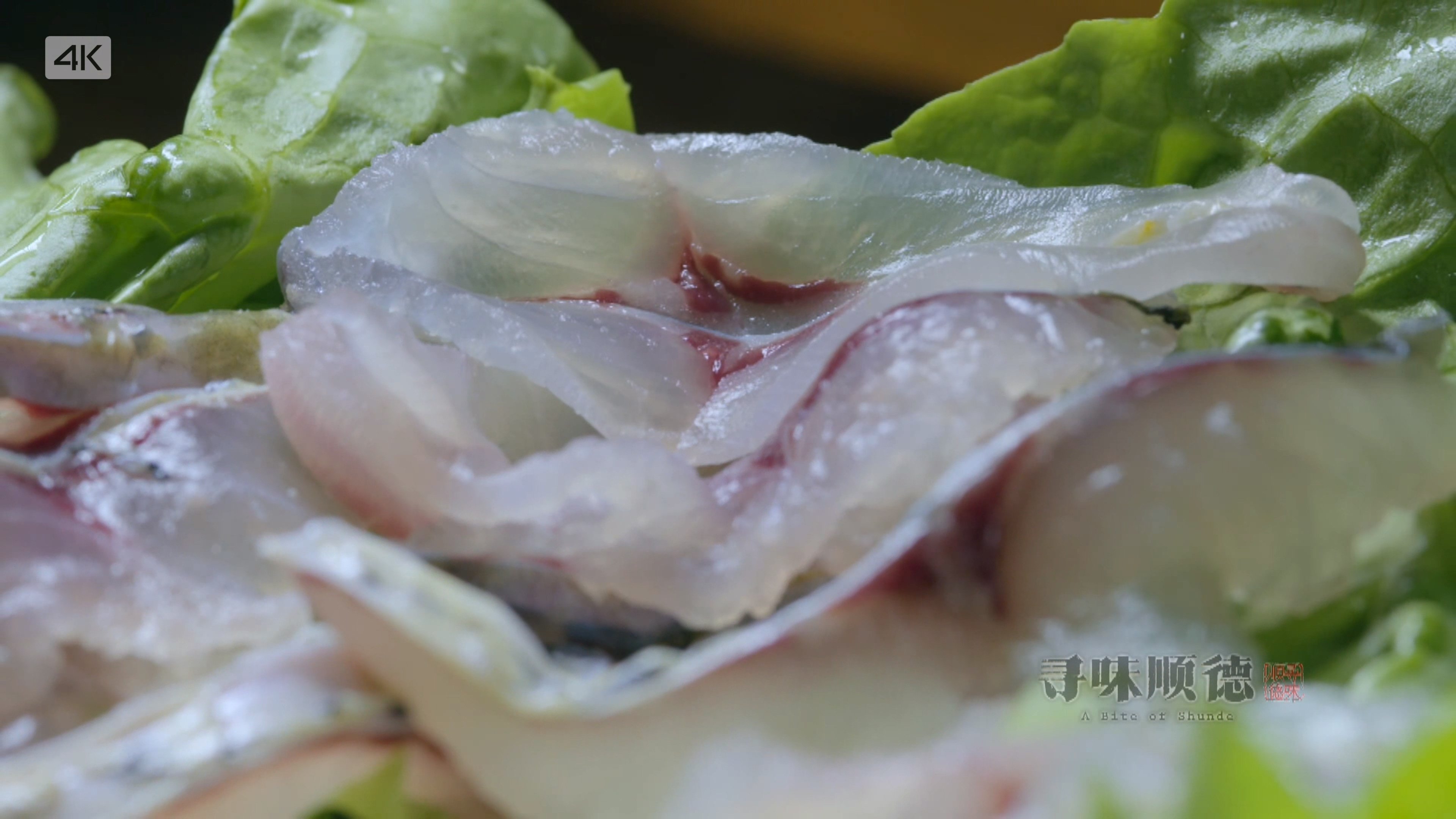 寻味顺德|寻味顺德
