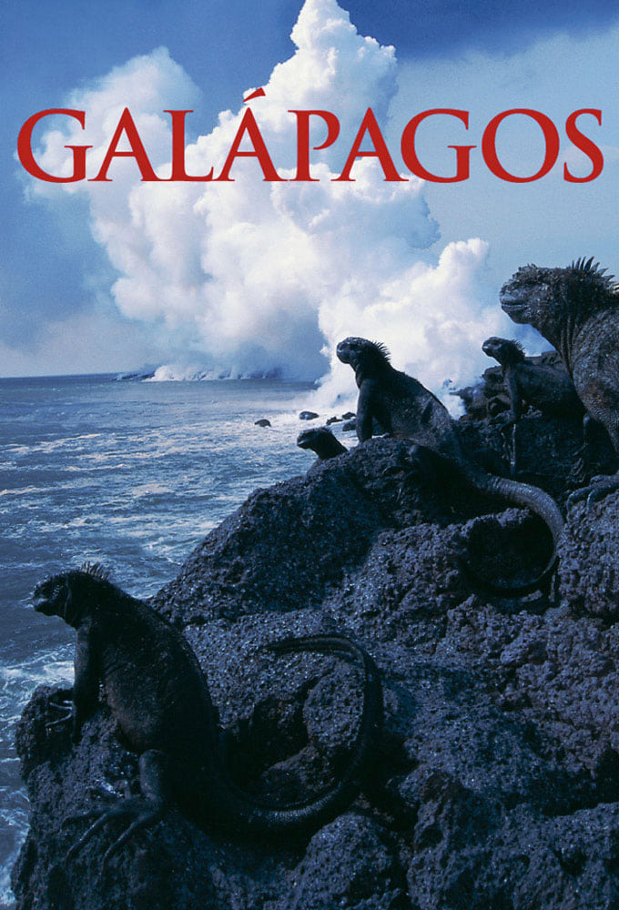 Galapagos | Galapagos