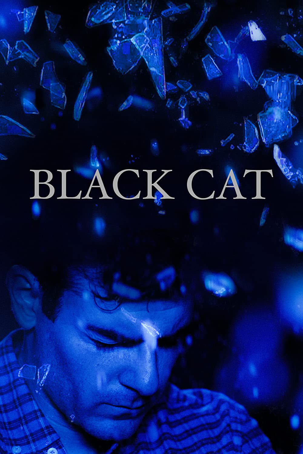 Black Cat | Black Cat