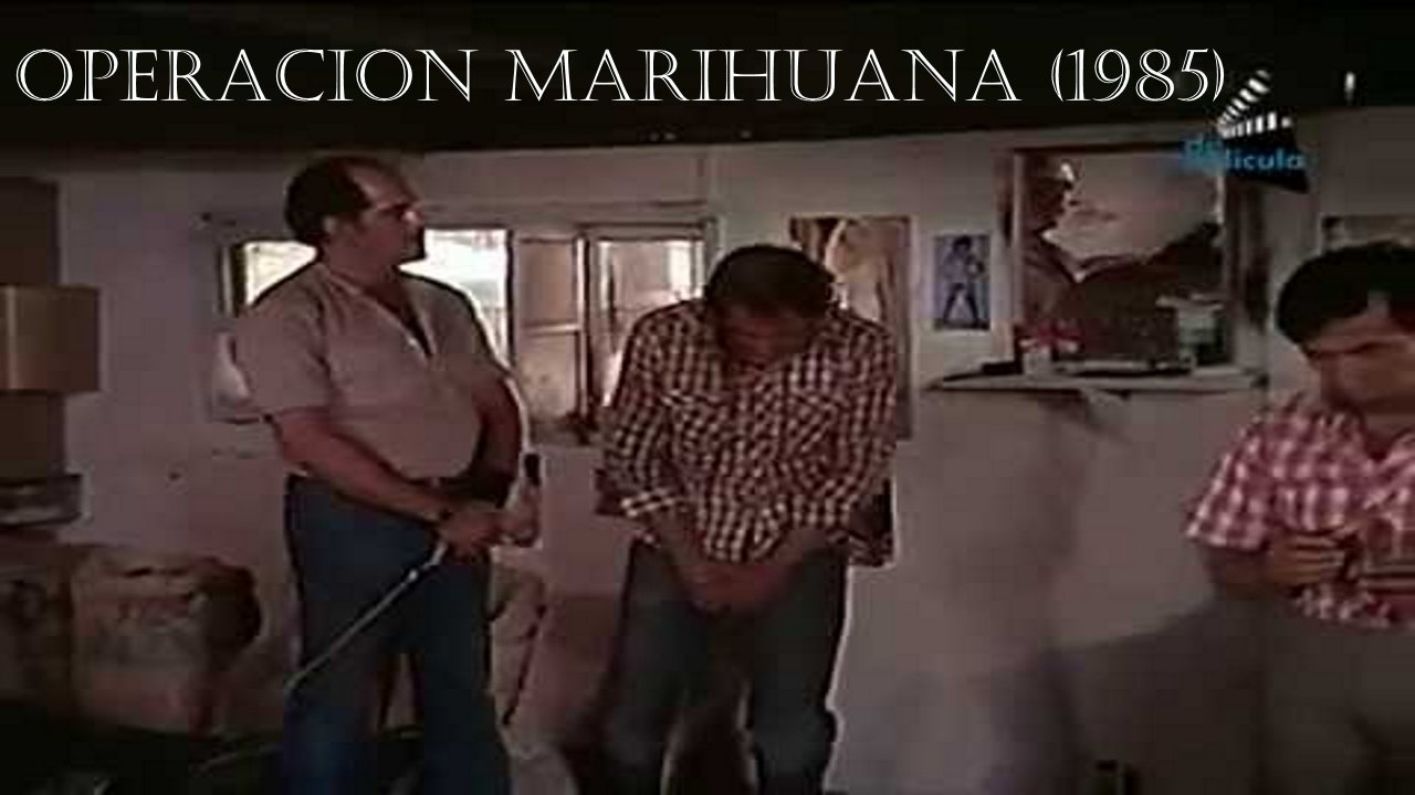 Operacion marihuana|Operacion marihuana