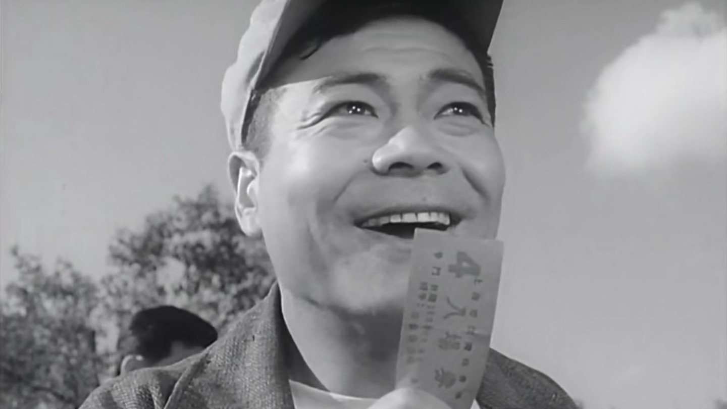 球迷|球迷