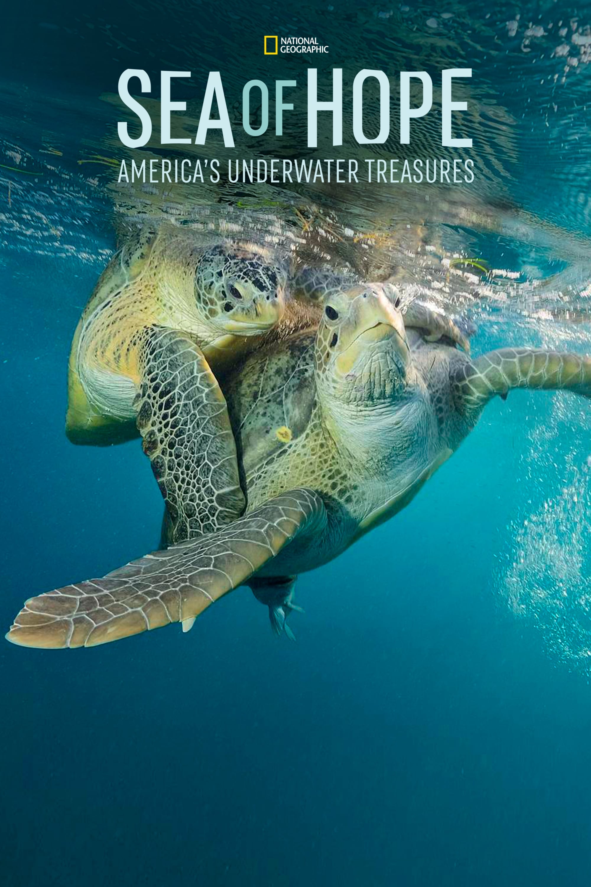 Sea of Hope: America's Underwater Treasures | Sea of Hope: America's Underwater Treasures