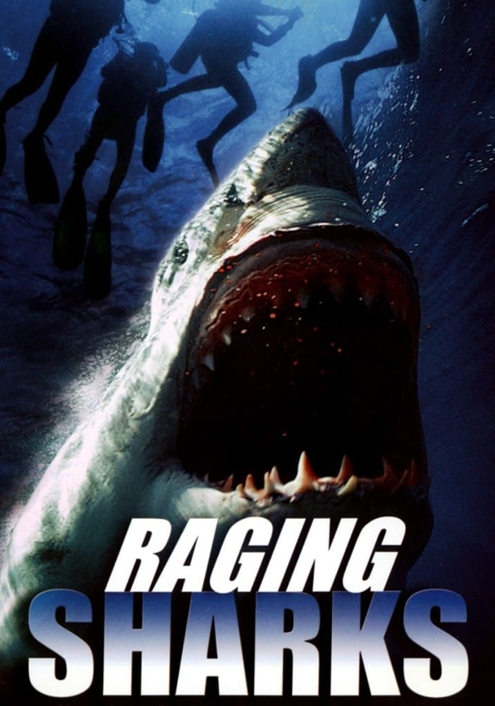 Raging Sharks | Raging Sharks