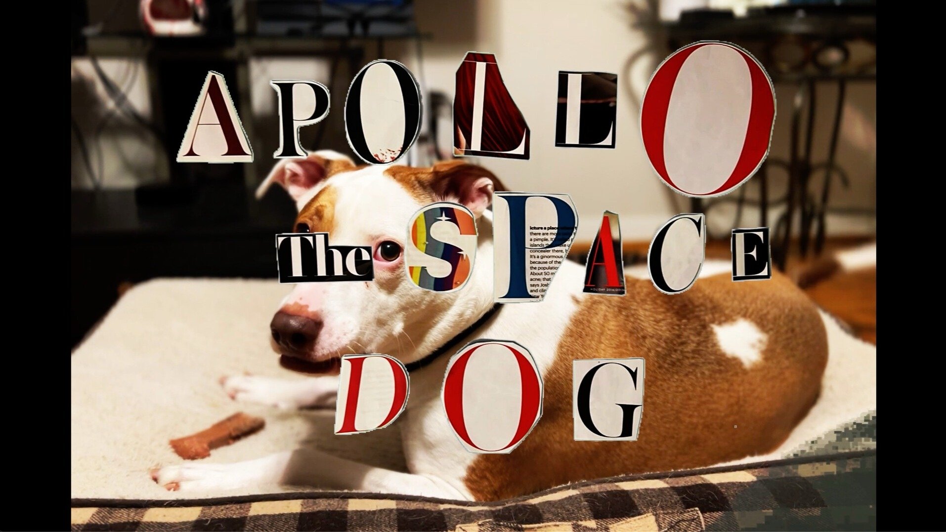 Apollo: The Space Dog|Apollo: The Space Dog