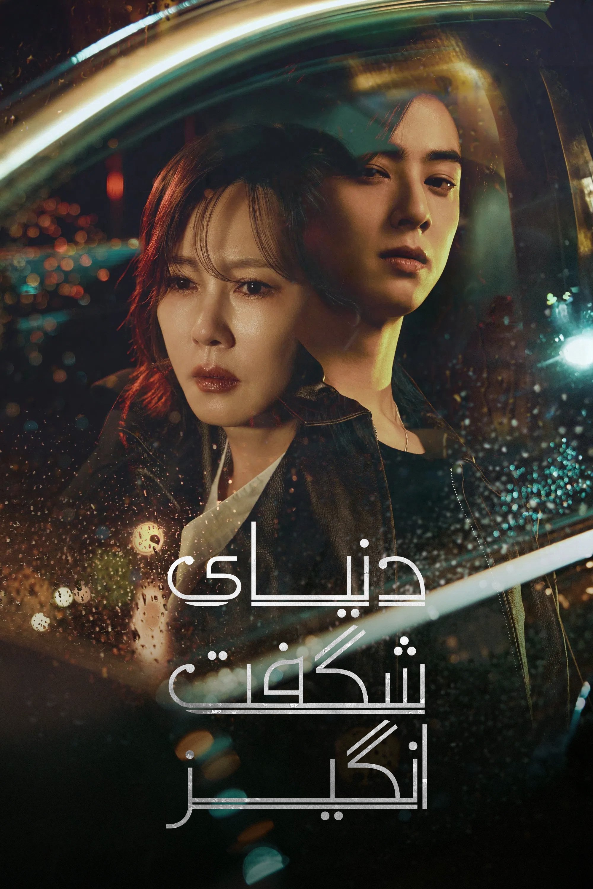 원더풀 월드