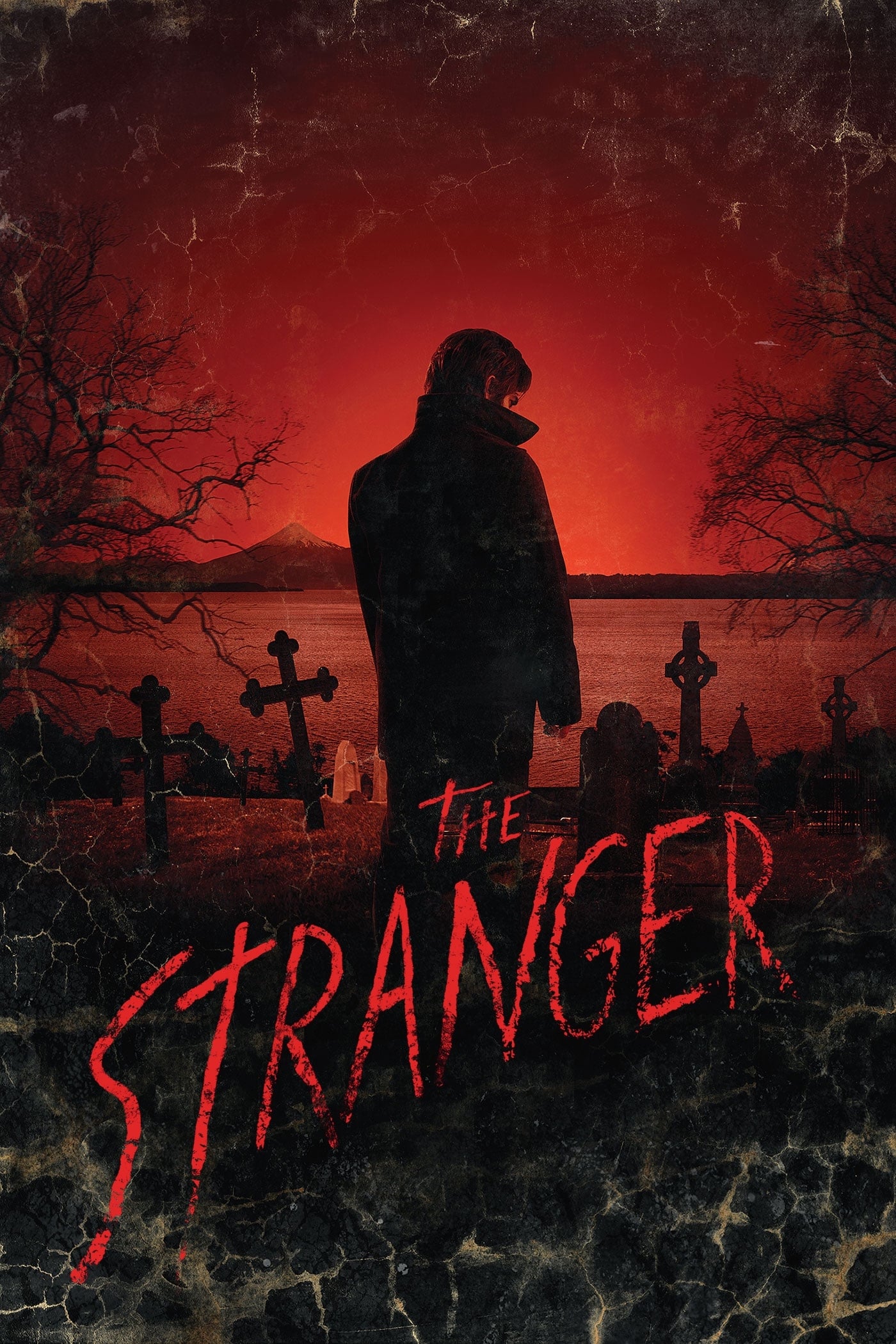 The Stranger | The Stranger