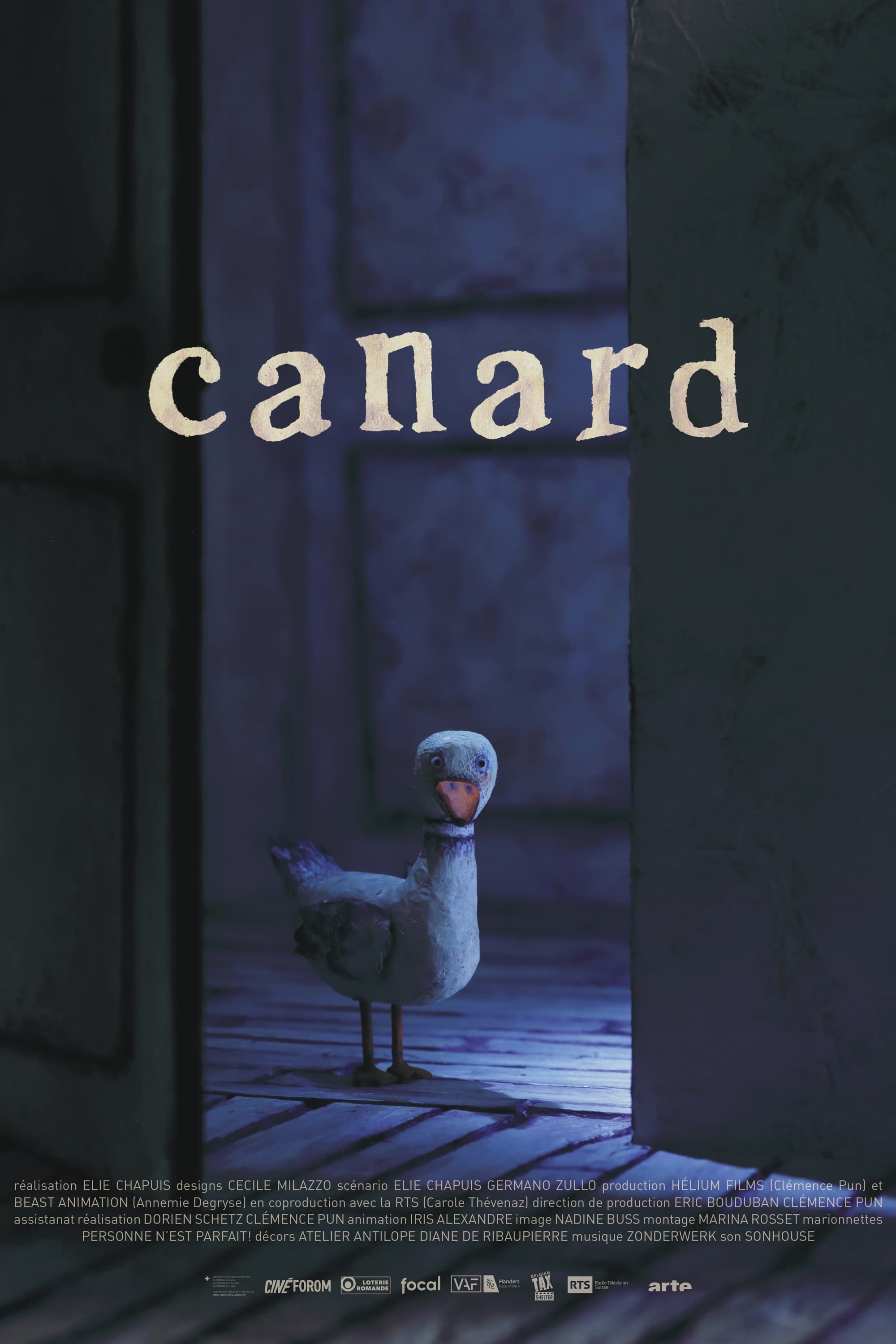 Canard | Canard