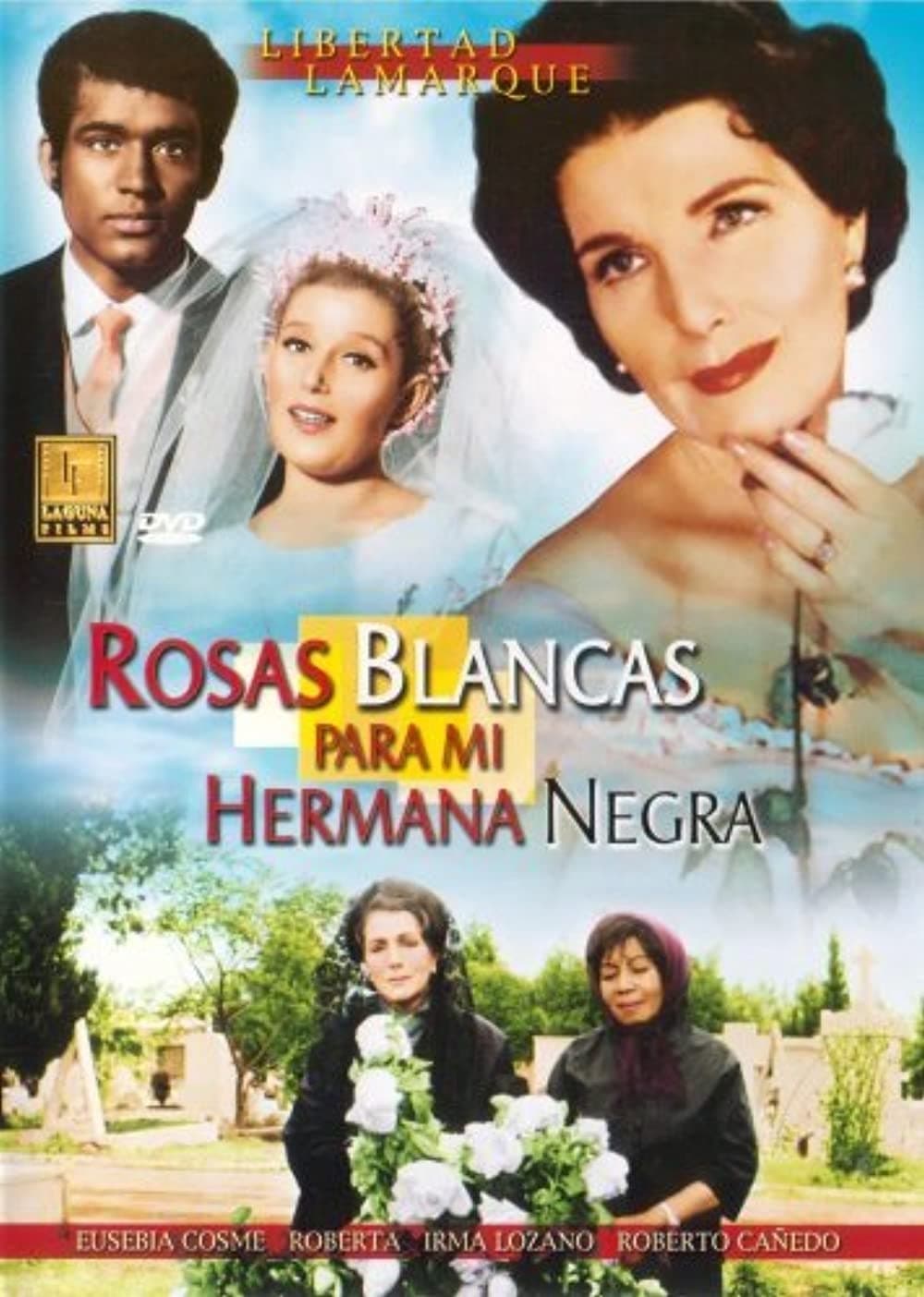 Rosas blancas para mi hermana negra