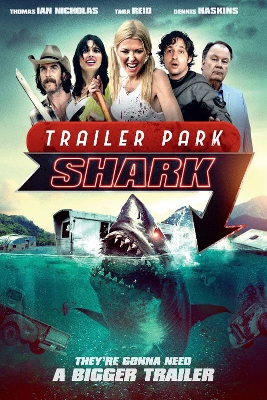 Trailer Park Shark | Trailer Park Shark